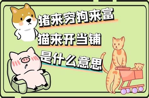 猫来家里生孩子代表什么|俗话说”猫来穷、狗来富“，家里进猫代表什么预兆？需要注意什么